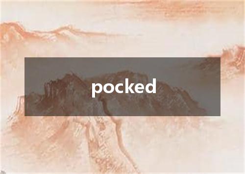 pocked是什么意思