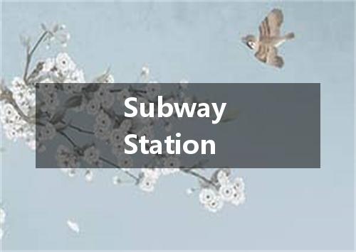 Subway Station是什么意思