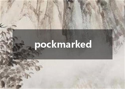 pockmarked是什么意思