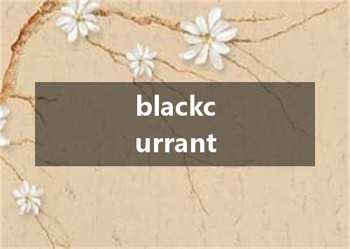 blackcurrant是什么意思