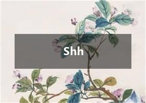 Shh是什么意思