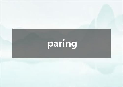 paring是什么意思