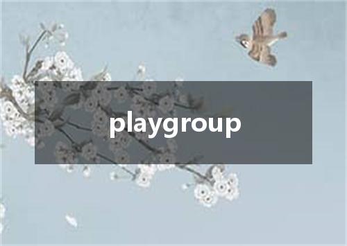 playgroup是什么意思