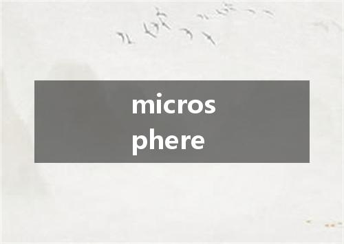 microsphere是什么意思