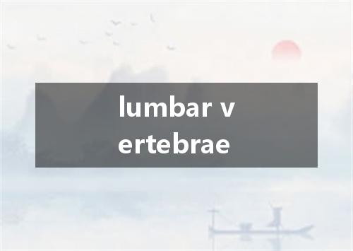 lumbar vertebrae是什么意思
