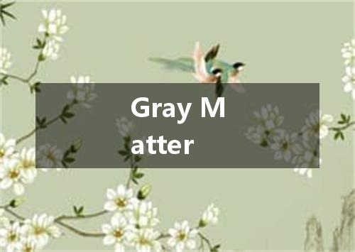 Gray Matter是什么意思
