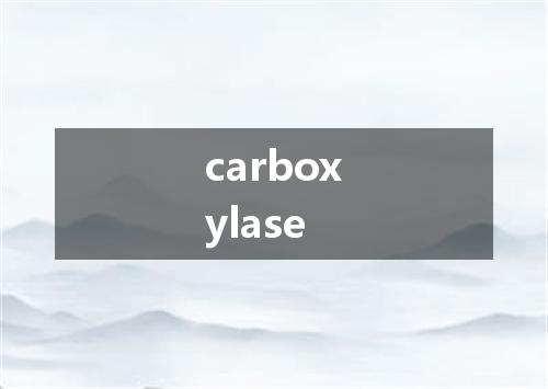 carboxylase是什么意思