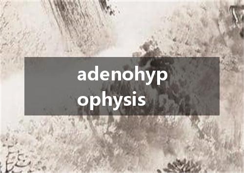 adenohypophysis是什么意思