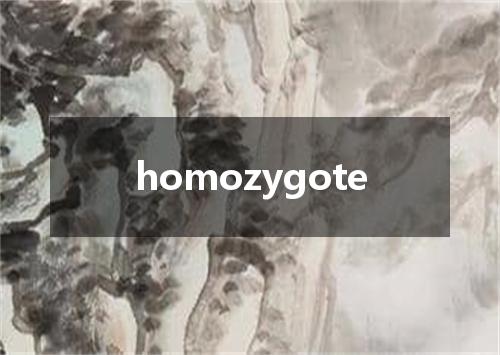 homozygote是什么意思
