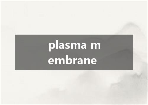 plasma membrane是什么意思