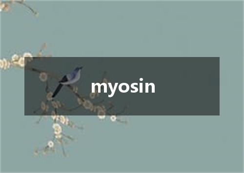 myosin是什么意思