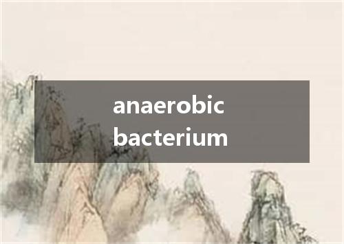 anaerobic bacterium是什么意思