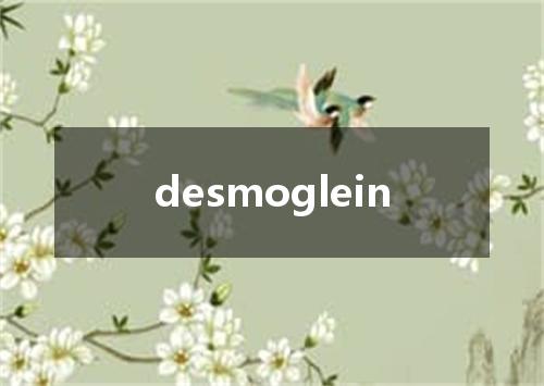 desmoglein是什么意思