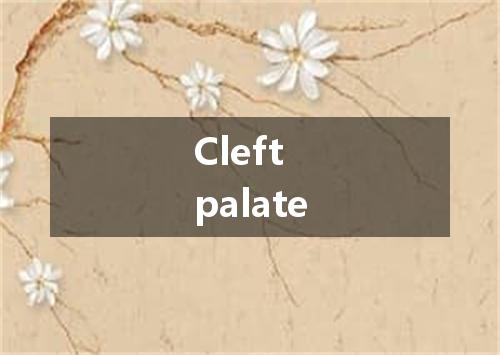 Cleft palate是什么意思
