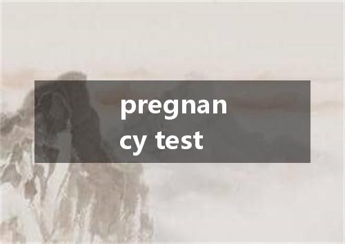 pregnancy test是什么意思