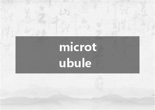 microtubule是什么意思