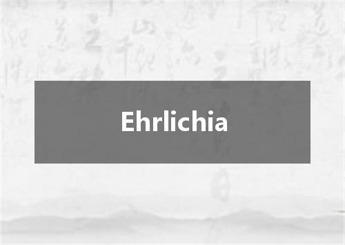 Ehrlichia是什么意思