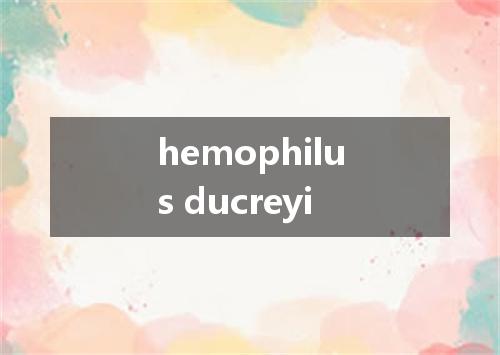 hemophilus ducreyi是什么意思
