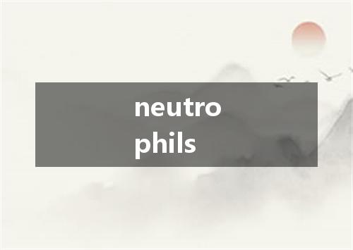 neutrophils是什么意思