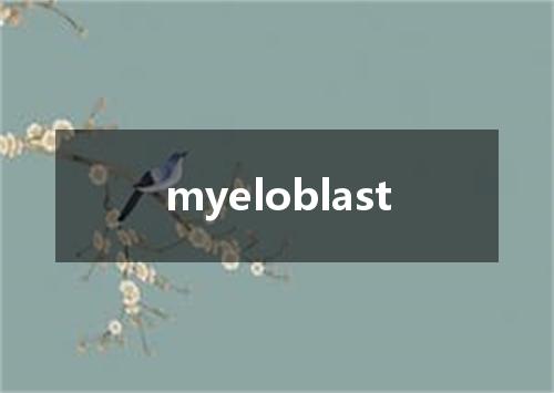 myeloblast是什么意思