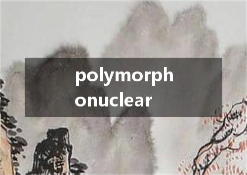polymorphonuclear是什么意思