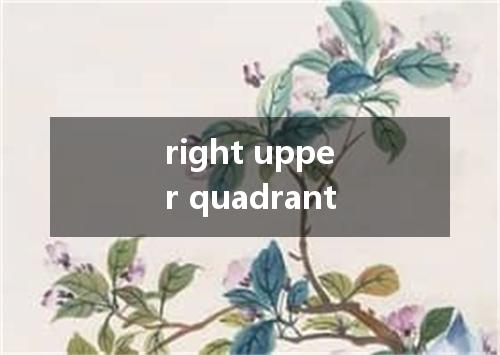 right upper quadrant是什么意思