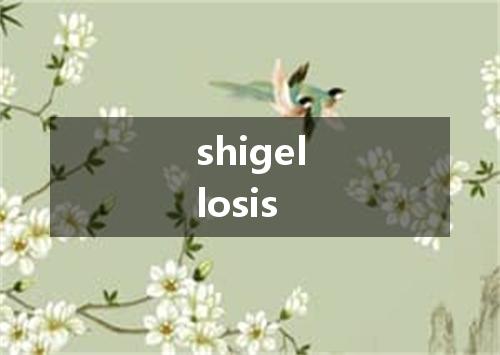 shigellosis是什么意思