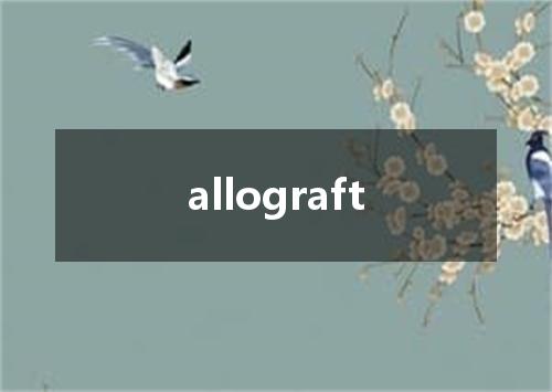 allograft是什么意思