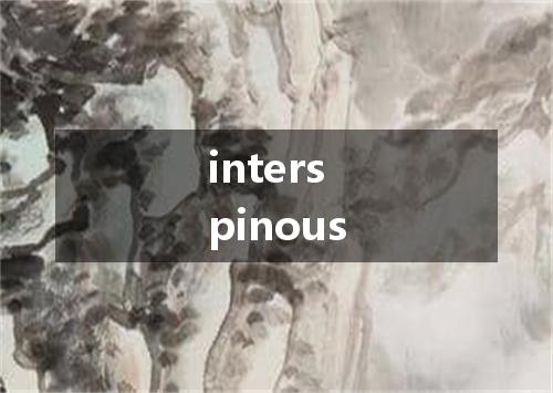 interspinous是什么意思