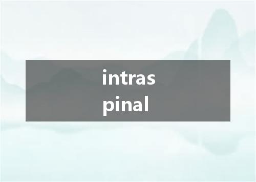 intraspinal是什么意思