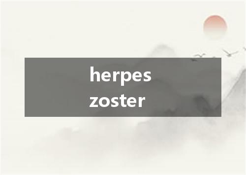 herpes zoster是什么意思