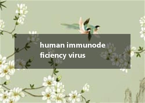 human immunodeficiency virus是什么意思