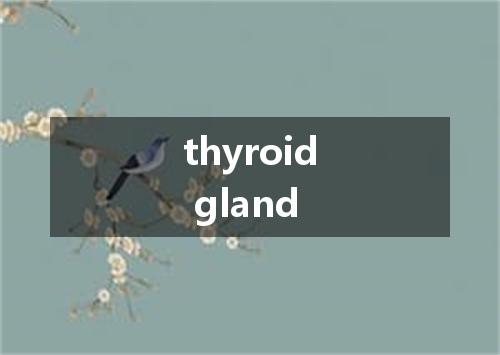 thyroid gland是什么意思