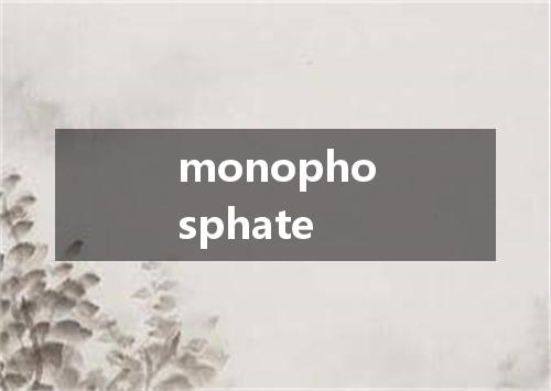 monophosphate是什么意思