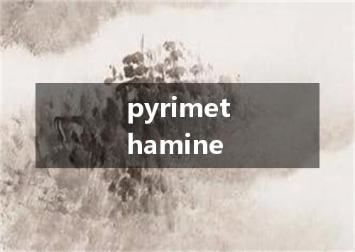 pyrimethamine是什么意思