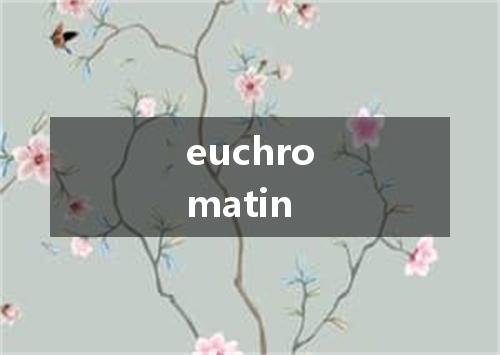 euchromatin是什么意思