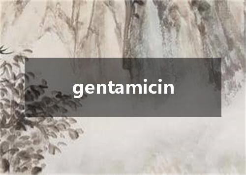 gentamicin是什么意思