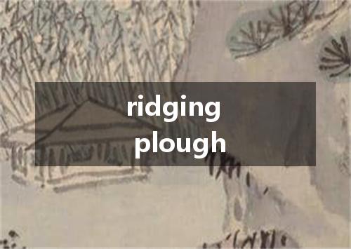 ridging plough是什么意思