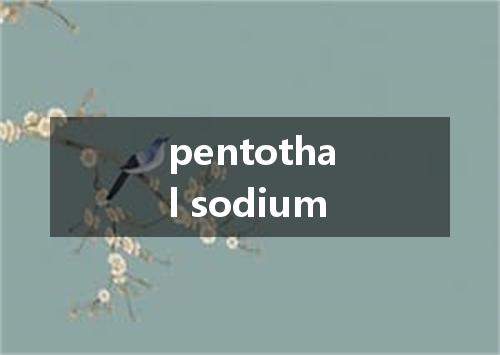 pentothal sodium是什么意思