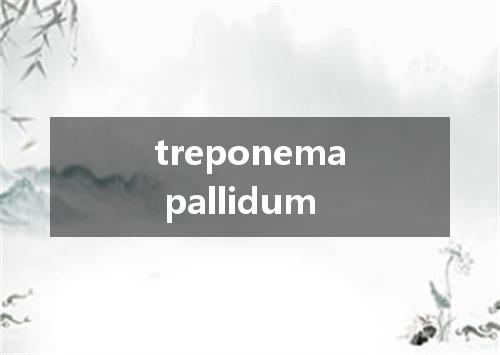 treponema pallidum是什么意思