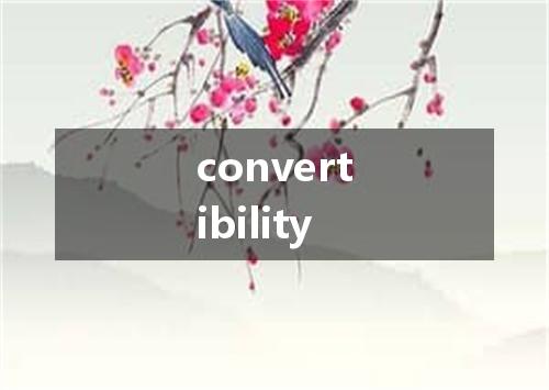 convertibility是什么意思