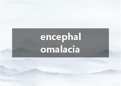 encephalomalacia是什么意思