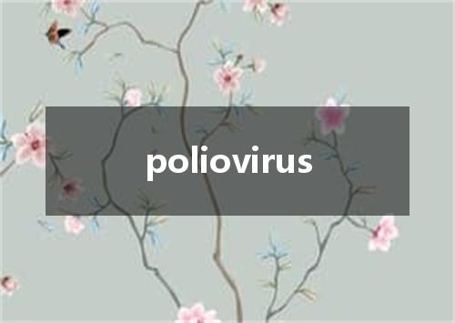 poliovirus是什么意思