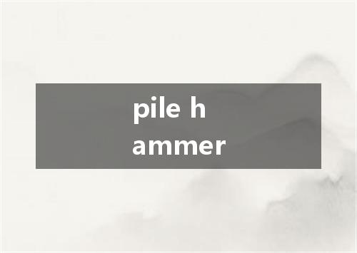 pile hammer是什么意思