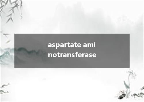 aspartate aminotransferase是什么意思