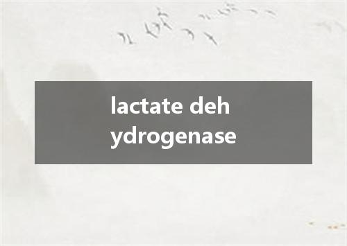 lactate dehydrogenase是什么意思