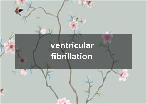 ventricular fibrillation是什么意思