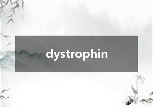 dystrophin是什么意思