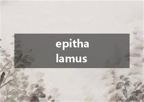 epithalamus是什么意思