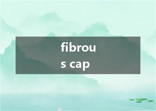 fibrous cap是什么意思